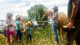 Horse Husbandry Workshop with Cherrye O'Donal, Science Camp 2016 - Robin Rosenberg