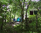 Tent site in summer - Teresa Seitz