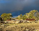 Everson Ranch, sunlit exposure - Suzanne Ewy