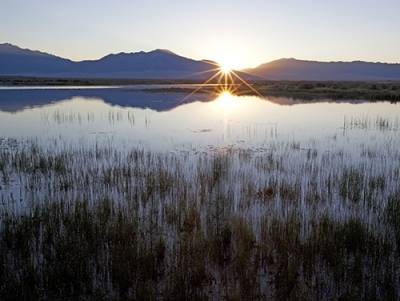 Sunrise Medano-Zapata Ranch - Alamosa County  (JF - 0890)
