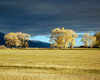 Fields at Everson Ranch