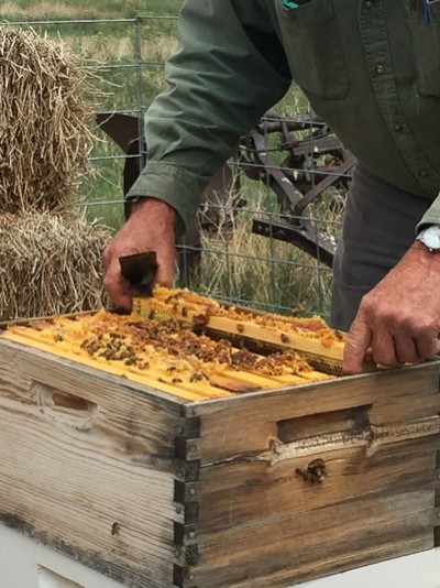 A beehive box at Everson Ranch