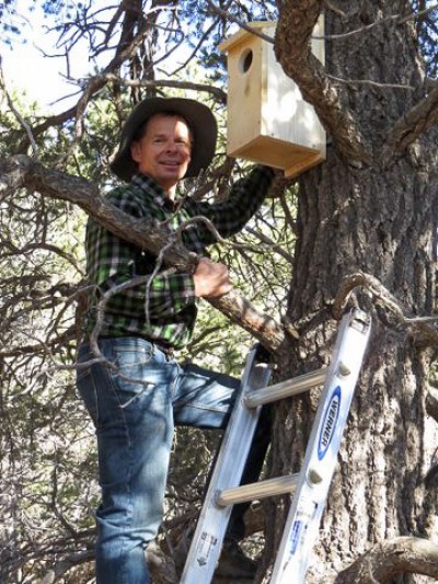 Volunteer hanging owl habitat