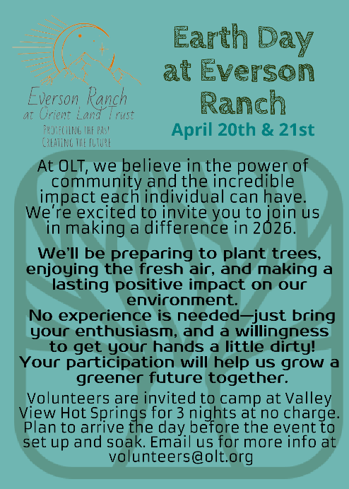 Screenshot 2025-12-31 11.29.02 AM