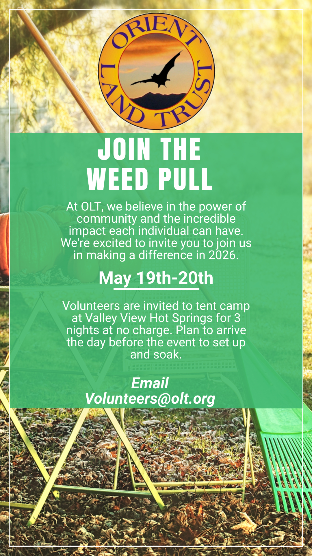 Instagram Story 1080x1920 px (2)