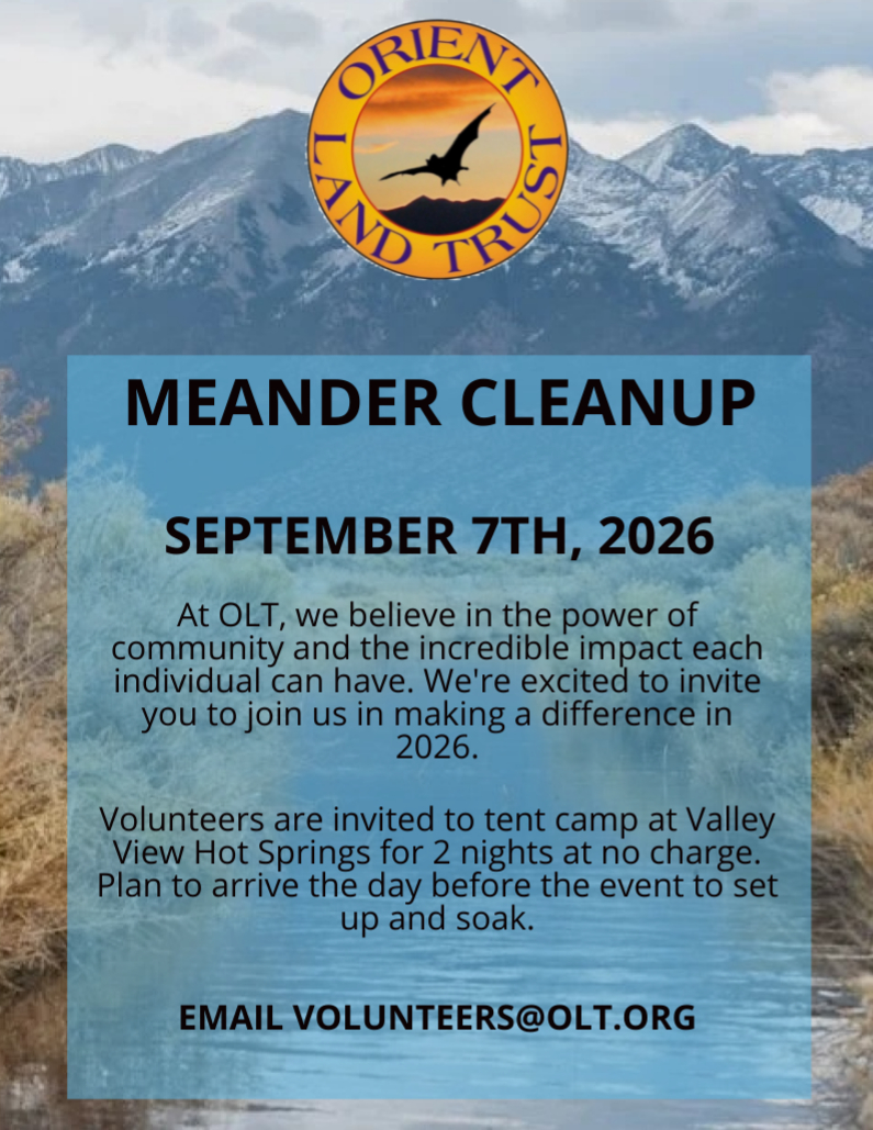 MEANDER CLEANUP